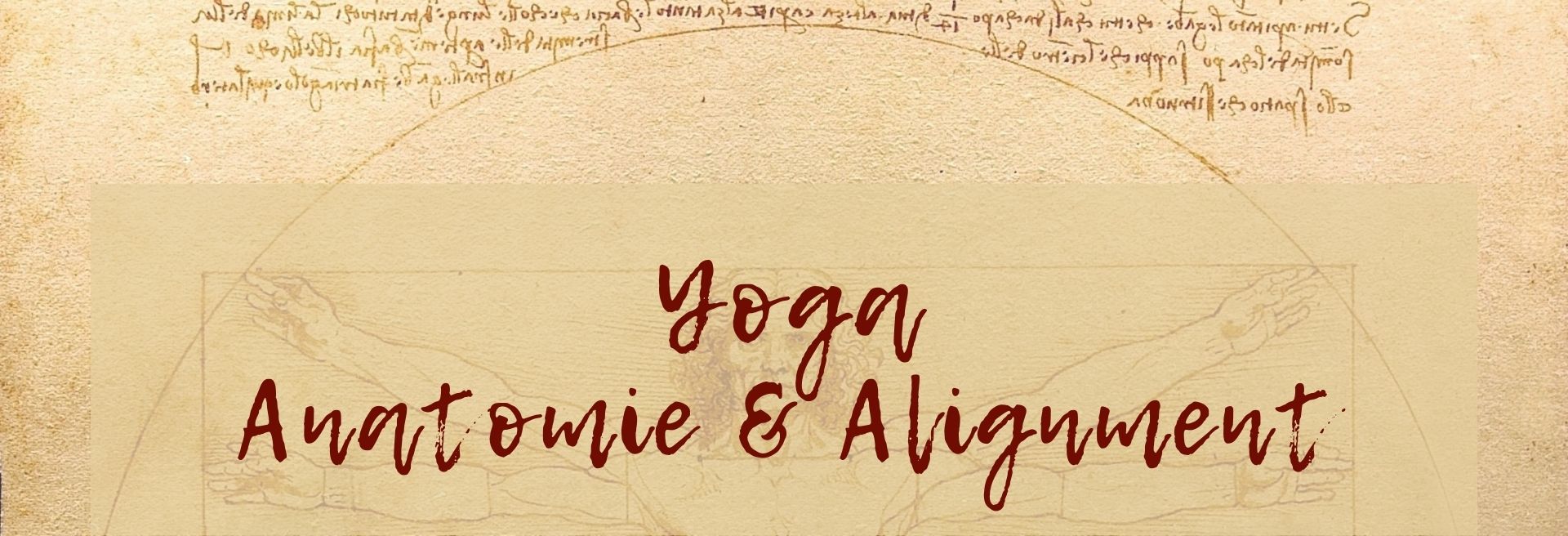 Yoga Anatomie & Alignment