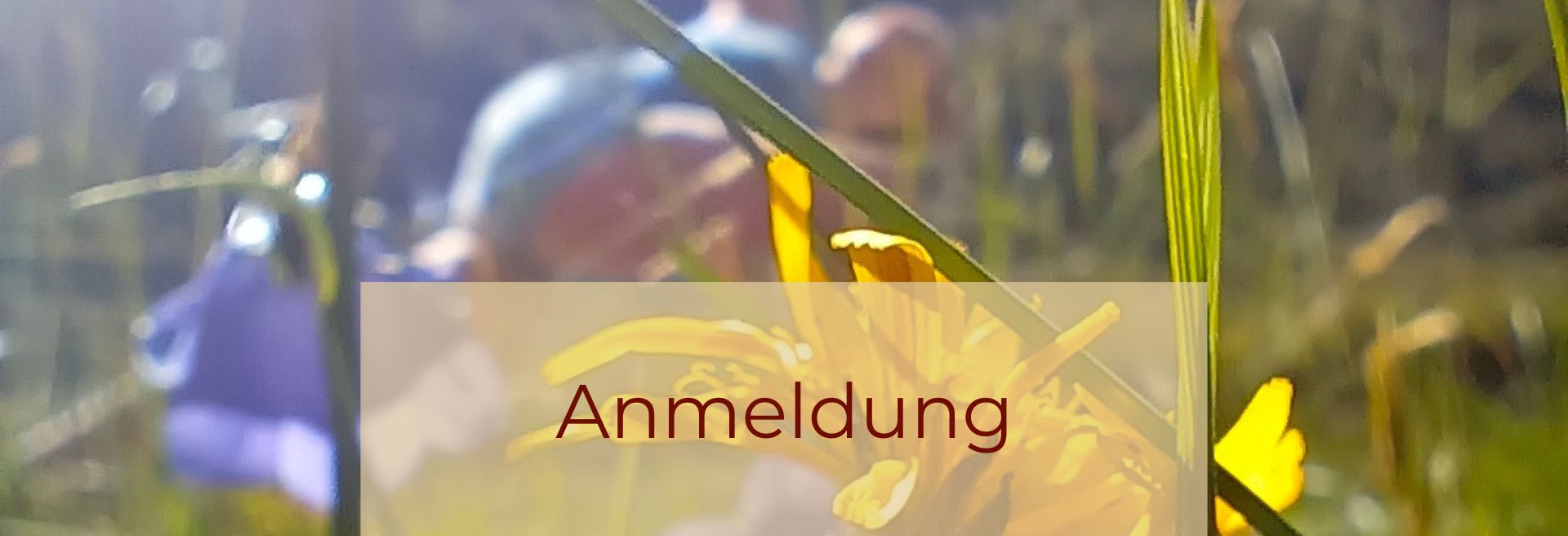 Summer Special Anmeldung